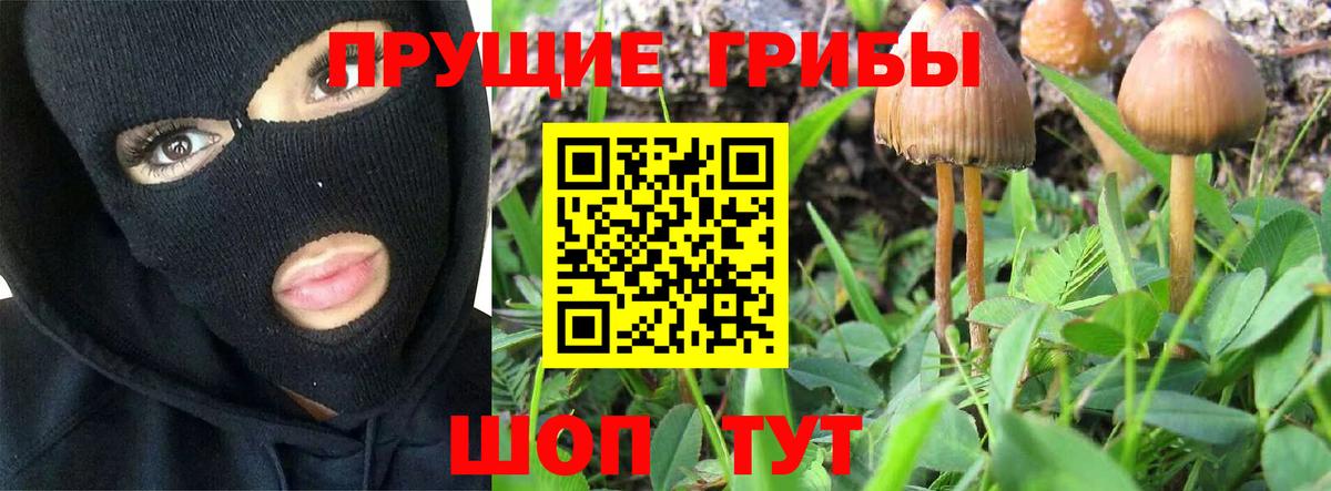 Солнечногорск  Псилоцибиновые грибы мухоморы  Вход с VPN 